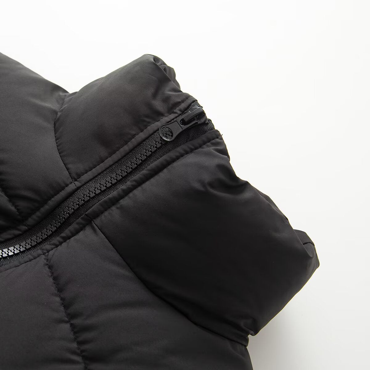 Women's short quilted jacket with a tailored corset-cut silhouette and high stand-up collar Chichicherry