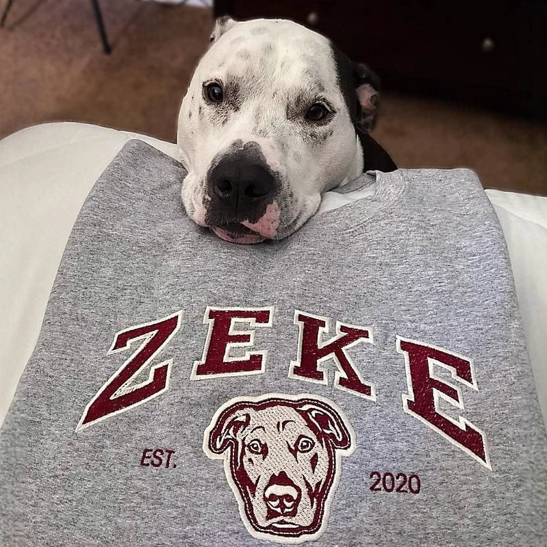 Unisex Embroidered College Sweatshirt with Dog Portrait and Vintage Logo Chichicherry