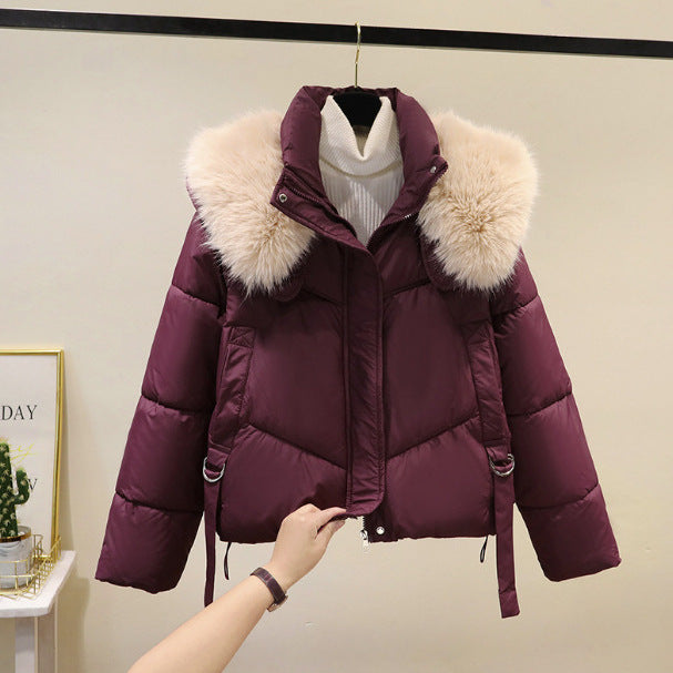 Ladies nano short thermo puffer jacket with detachable faux fur collar, high closing stand-up collar, and drawstring hem Chichicherry