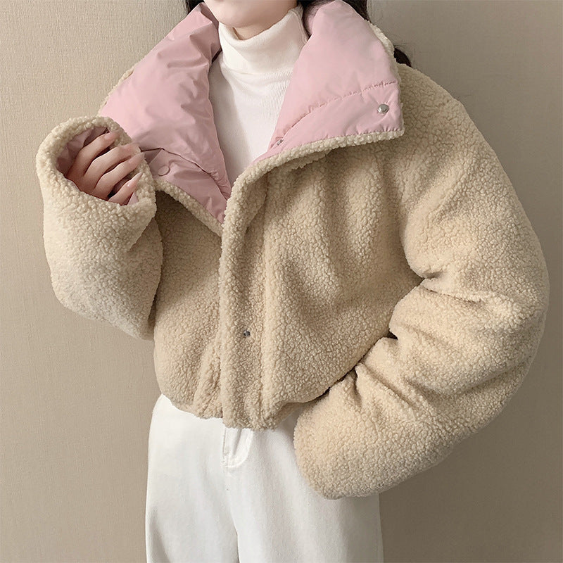 Women's short padded jacket with high-closing shawl collar and teddy cuffs Chichicherry