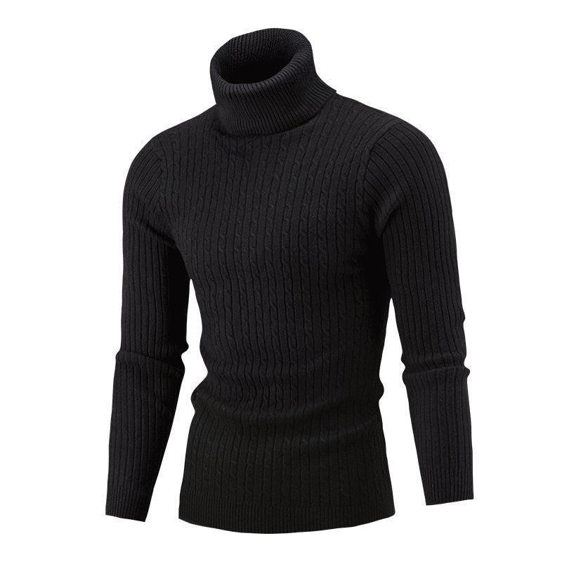 Men's Tailored Thermal Roll Neck Sweater with Cable and Rib Knit Structure Chichicherry