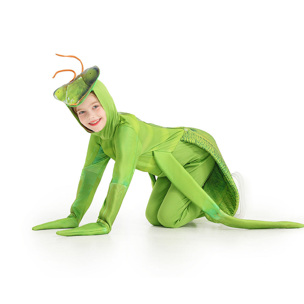 Unisex Costume of a Praying Mantis Chichicherry