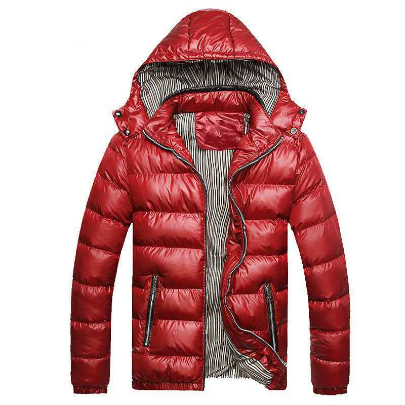 Men's Shiny Quilted Hooded Jacket with Thermo Padding and Striped Lining Chichicherry