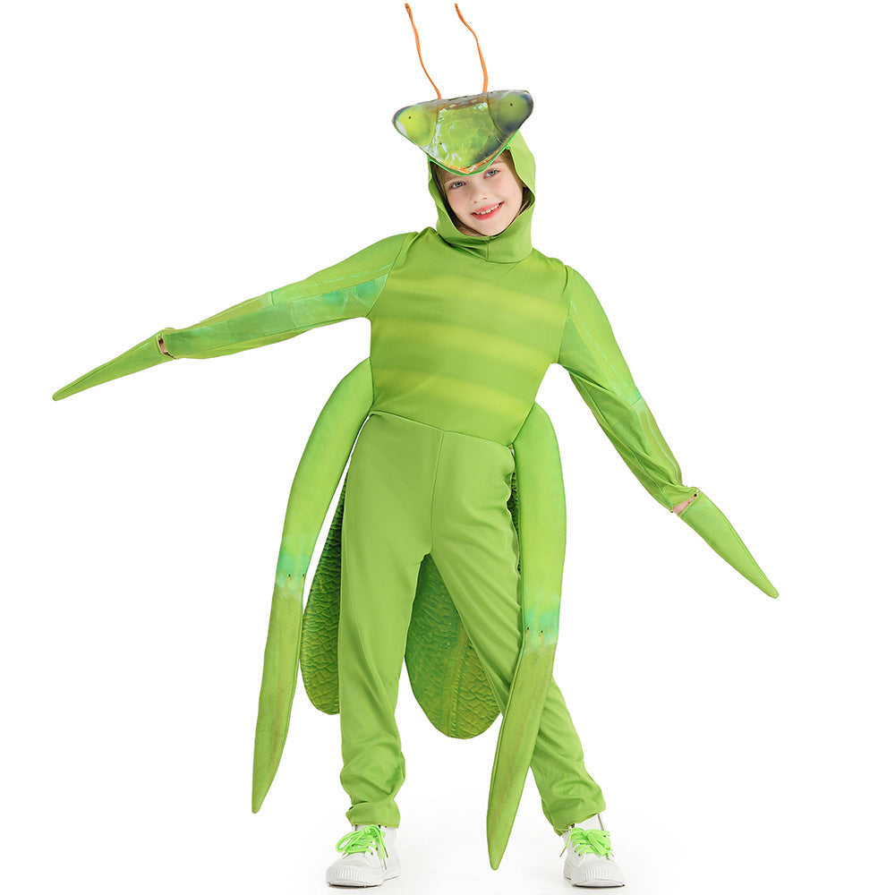 Unisex Costume of a Praying Mantis Chichicherry