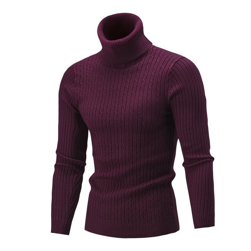 Men's Tailored Thermal Roll Neck Sweater with Cable and Rib Knit Structure Chichicherry